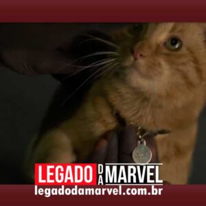 Gato da Capitã Marvel aparece algemado em imagem promocional de brinquedo Hasbro