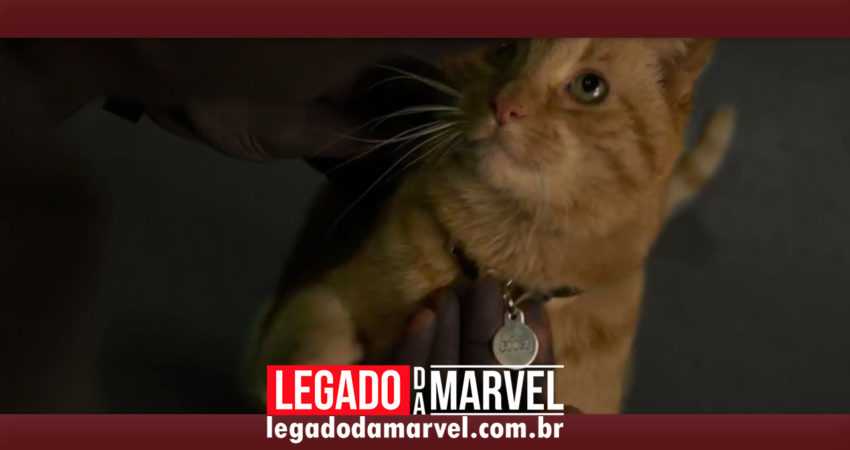  Gato da Capitã Marvel aparece algemado em imagem promocional de brinquedo Hasbro
