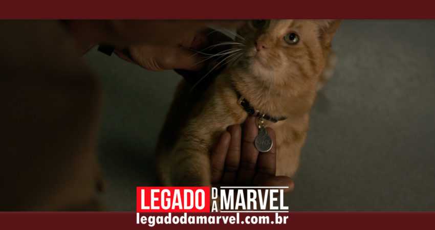 Artes inéditas de Capitã Marvel destacam o gato alienígena da heroína!