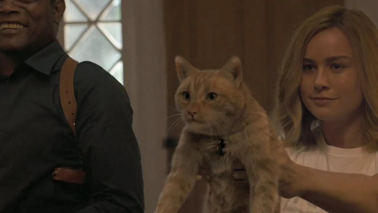 Capitã Marvel 2 terá outros flerkens.