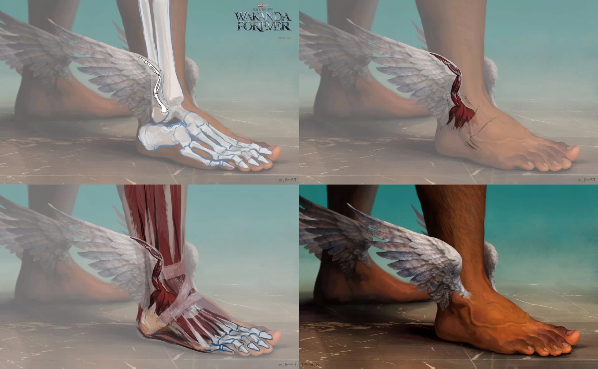 Pantera Negra 2: Imagens mostram a anatomia das asas dos pés de Namor
