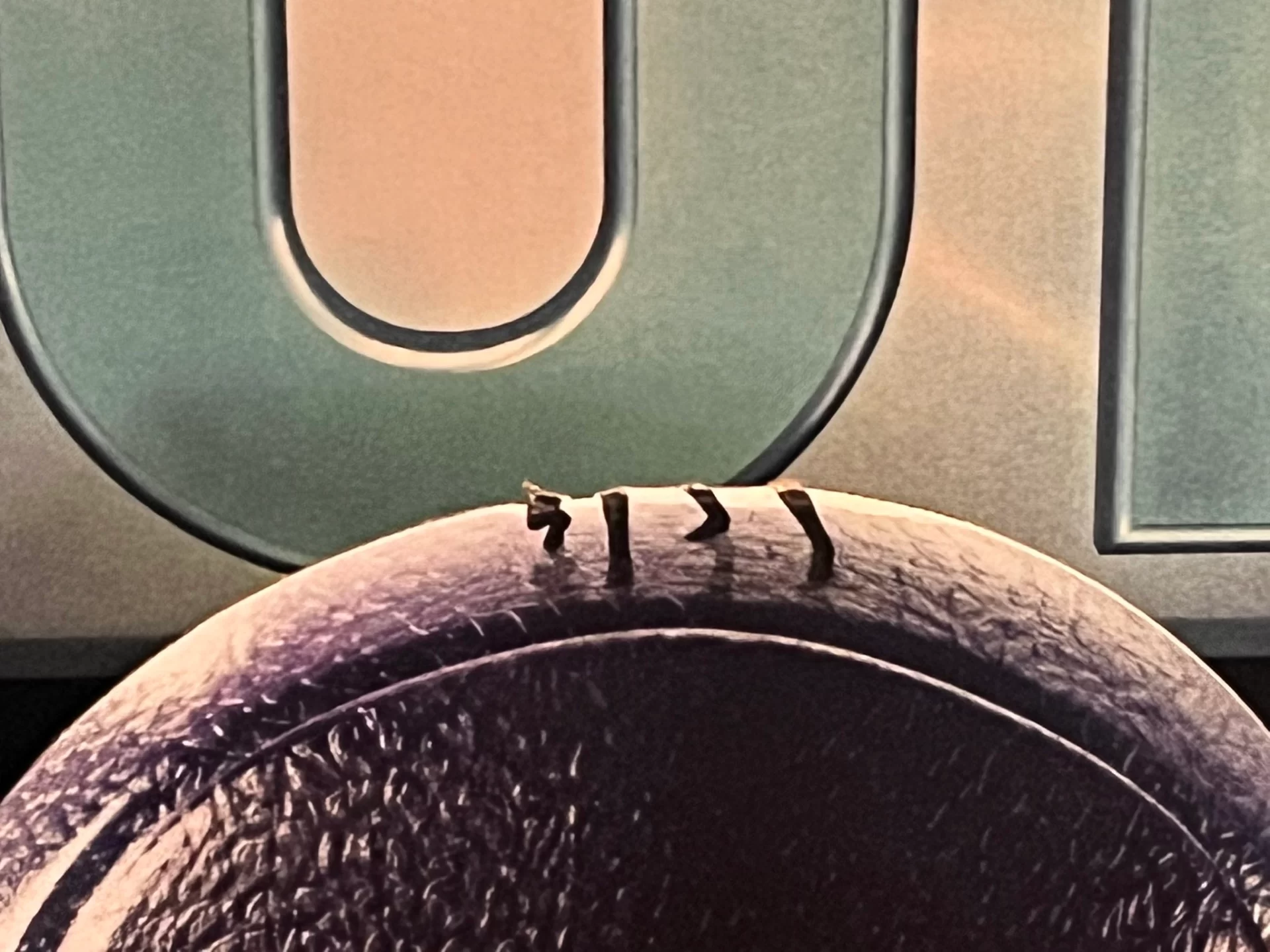 Fãs roubam miniaturas do Homem-Formiga e Vespa de pôster em cinema