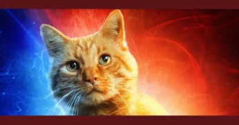 As Marvels: filme ganha pôster especial apenas com gatinhos