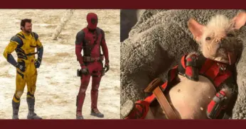 Dogpool comemora em imagem o fim das gravações de Deadpool 3