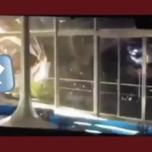 O Quarteto Fantástico: H.E.R.B.I.E. é visto em novo trailer vazado