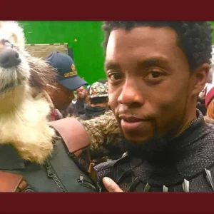 Tributo Chadwick Boseman