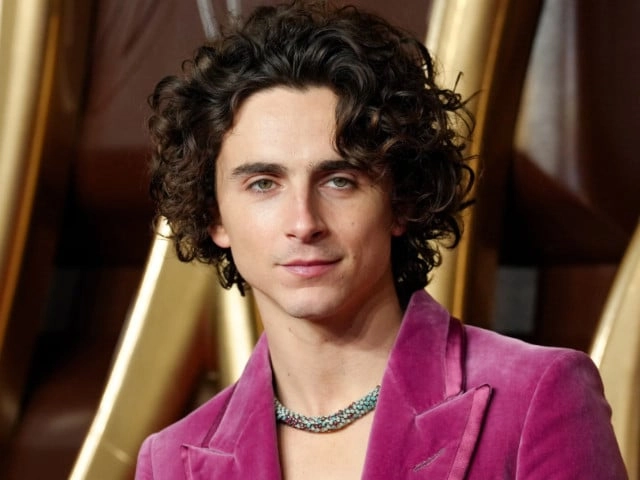 Timothée Chalamet