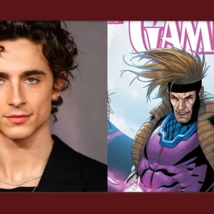Timothée Chalamet daria um bom Gambit?