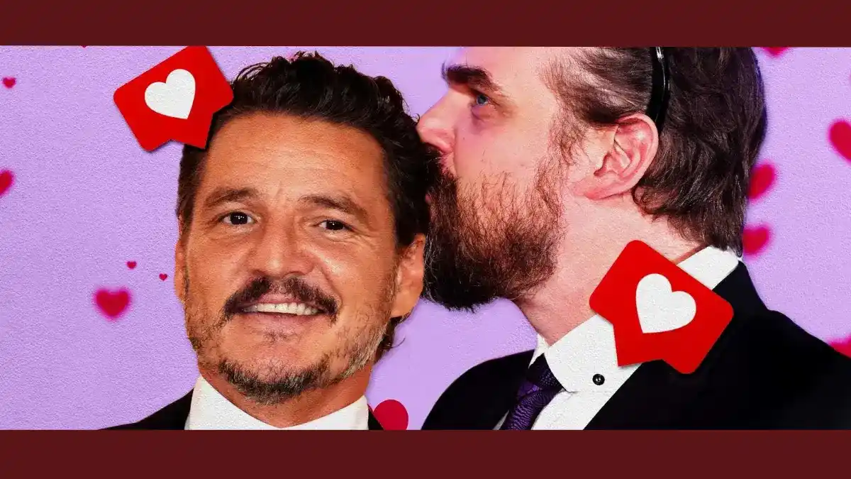 'Talentoso e atraente': David Harbour revela 'raiva' com Pedro Pascal