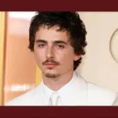 Homem-Aranha: Derrotado no Oscar, Timothée Chalamet volta a ser confirmado na Marvel