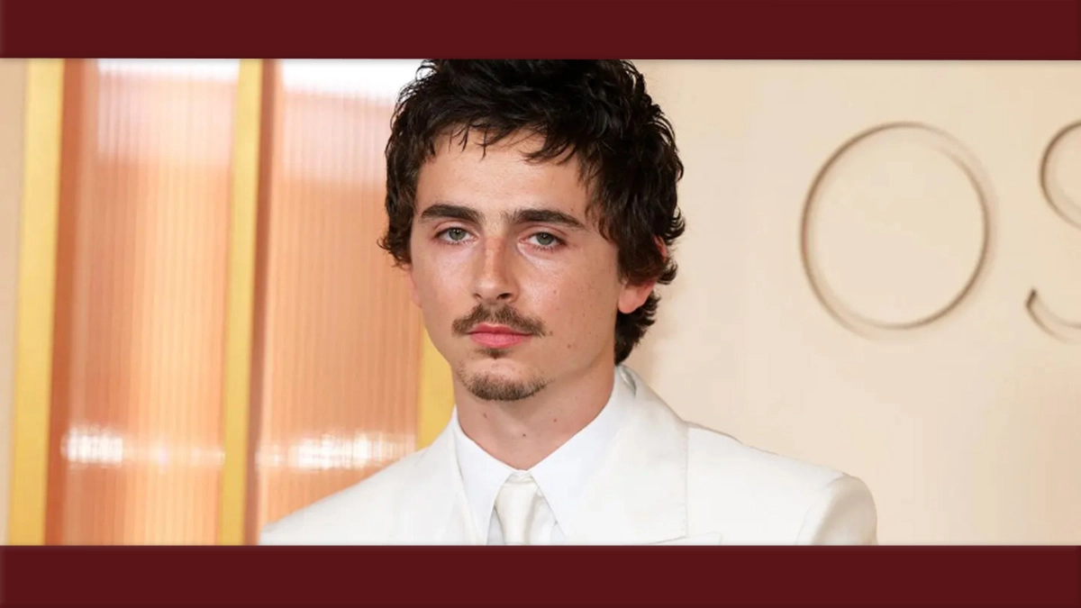 Homem-Aranha: Derrotado no Oscar, Timothée Chalamet volta a ser confirmado na Marvel