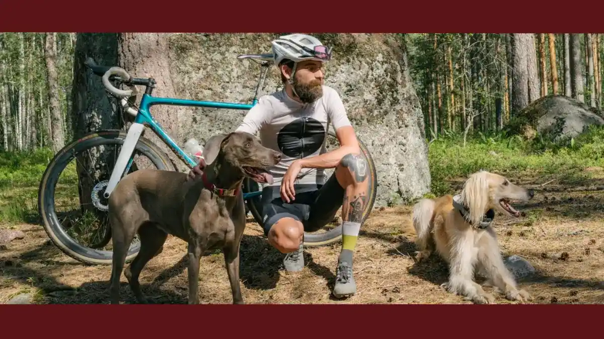 Vida ativa com cães: benefícios, limites e exercícios seguros no dia a dia